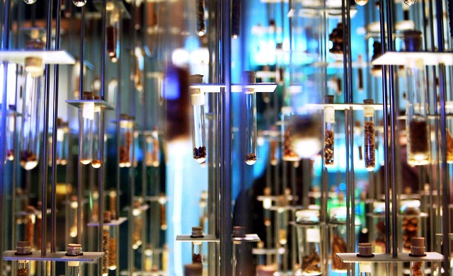 Oplevelser og gavekort: Alternativer til den klassiske julegave til svigerfar