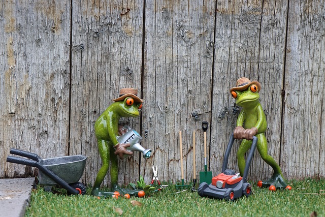 Sådan vælger du den rette haveservice til din bolig